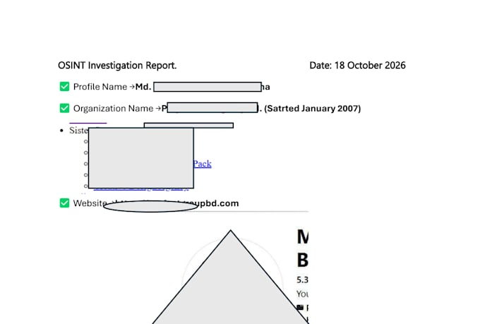 perform professional osint investigation and research